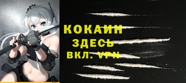 сатива Белокуриха