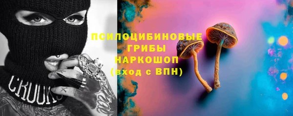 сатива Белокуриха