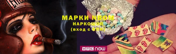 сатива Белокуриха