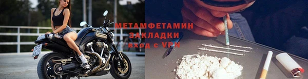 сатива Белокуриха