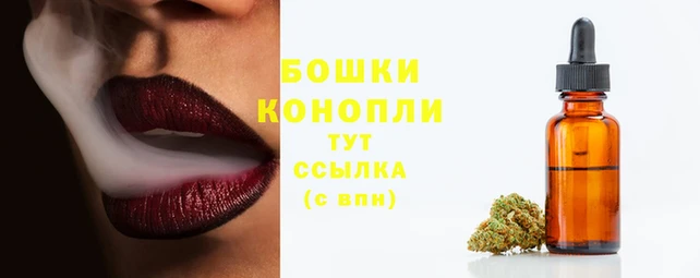 сатива Белокуриха