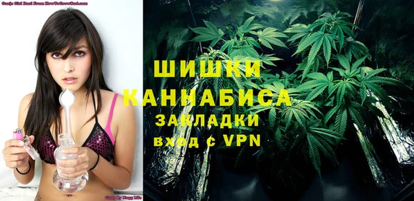 сатива Белокуриха