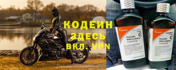 сатива Белокуриха