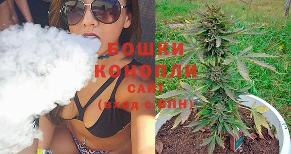 сатива Белокуриха