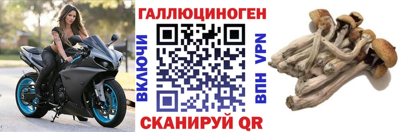 Галлюциногенные грибы Magic Shrooms площадка официальный сайт Валуйки