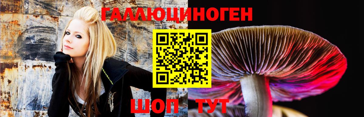 Галлюциногенные грибы GOLDEN TEACHER  Псилоцибиновые грибы Magic Shrooms  Валуйки  Вход с VPN 